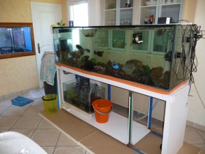 aquarium-salon